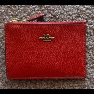 Coach Mini Skinny